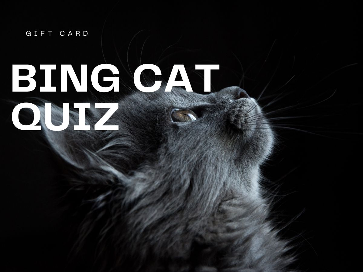 Bing Cat quiz